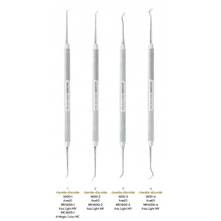 CLEOIDE DISCOIDE Asa