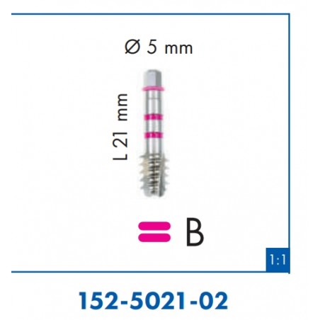 MASCHIATORE B 21mm per imp.corto 6,5 152-5021-02 Leone