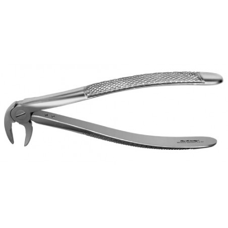 FORCEPS 33