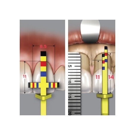 DR.CHU AESTETIC GAUGE SET - SCHUSET